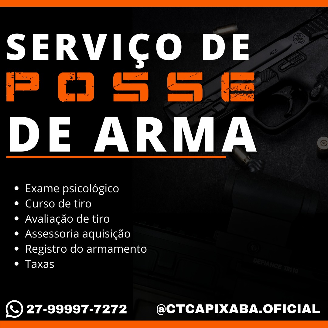 posse de arma de fogo